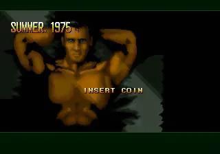Game | SNK Neo Geo AES | Nam 1975 NGH-001 Physical Video Games Game SNK
